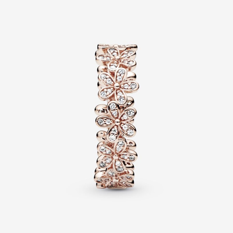 Rose Gold Plated Pandora Daisy Flower Band Rings | 236-SVKXMU