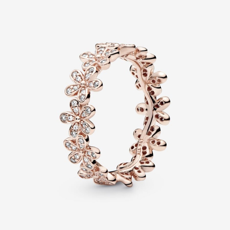 Rose Gold Plated Pandora Daisy Flower Band Rings | 236-SVKXMU