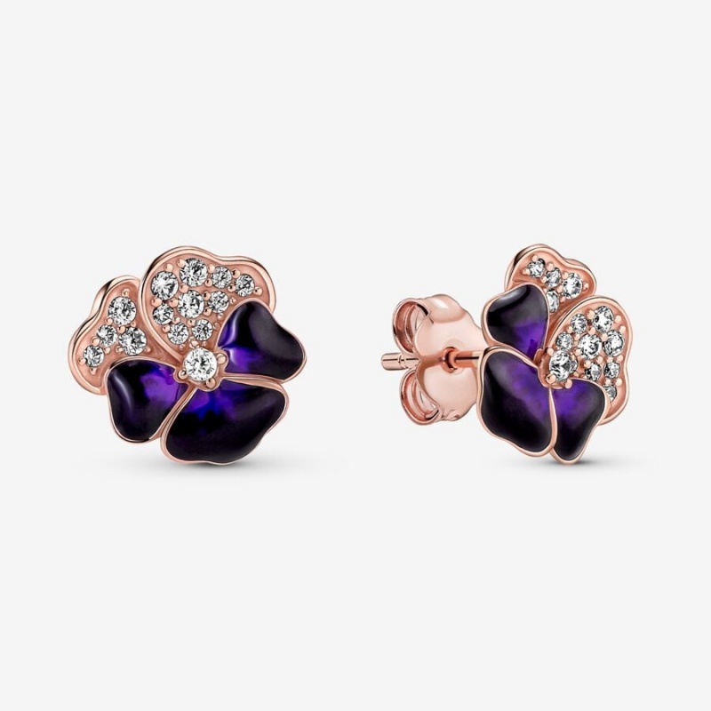 Rose Gold Plated Pandora Deep Purple Pansy Flowers Stud Earrings | 809-NDLGQO