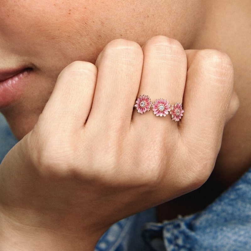 Rose Gold Plated Pandora Pink Daisy Flower Trio Statement Rings | 397-WAGYBE