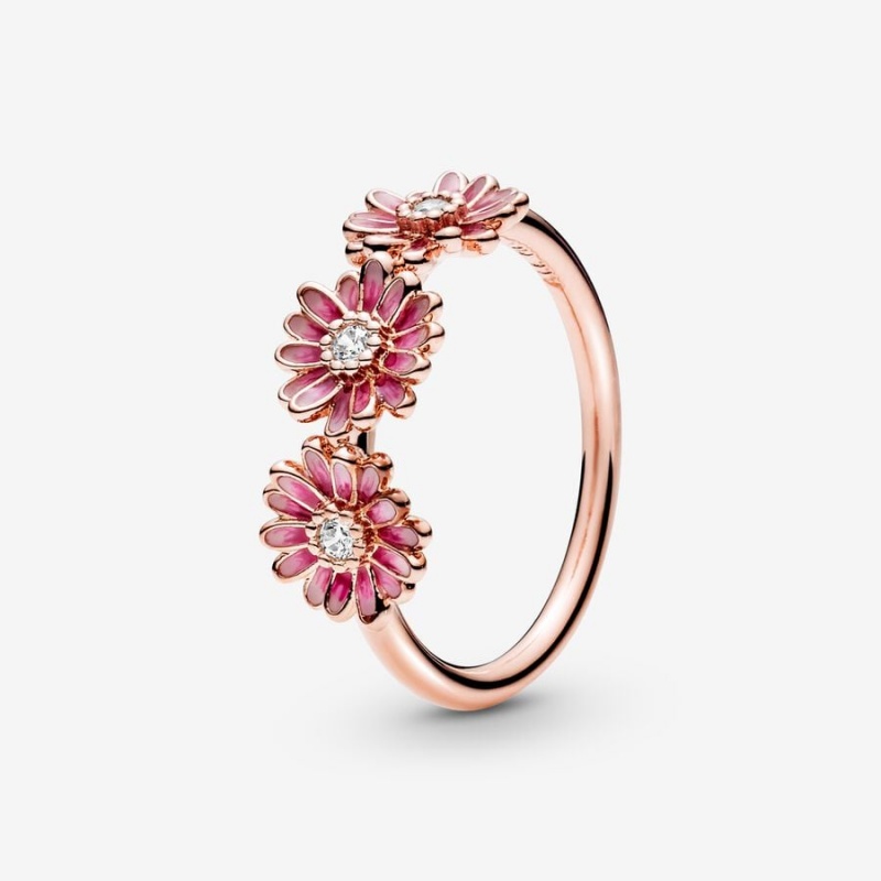 Rose Gold Plated Pandora Pink Daisy Flower Trio Statement Rings | 397-WAGYBE