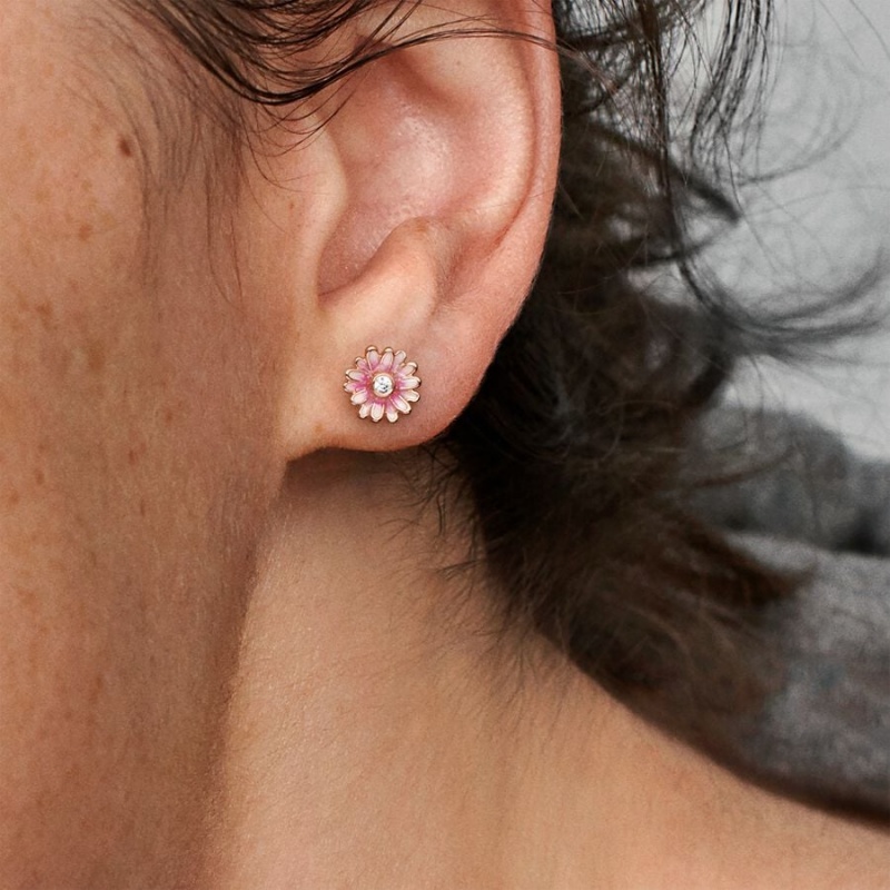 Rose Gold Plated Pandora Pink Daisy Flowers Stud Earrings | 698-IABGWQ