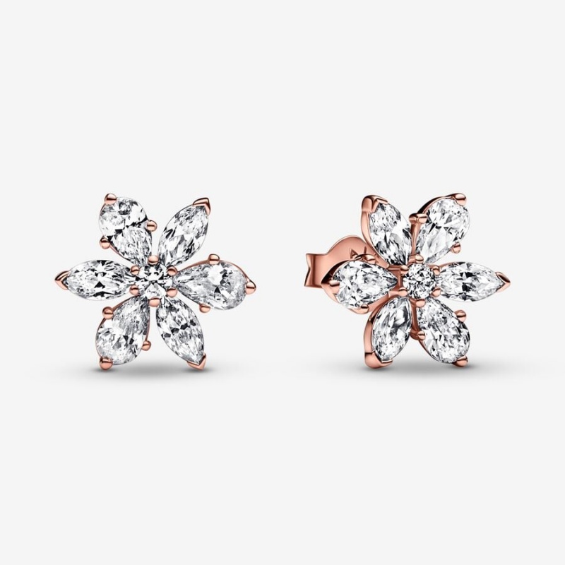 Rose Gold Plated Pandora Sparkling Herbarium Clusters Stud Earrings | 078-ZEVFTK