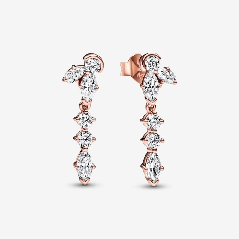 Rose Gold Plated Pandora Sparkling Herbarium Cluster Drop Earrings | 254-ZNBRME