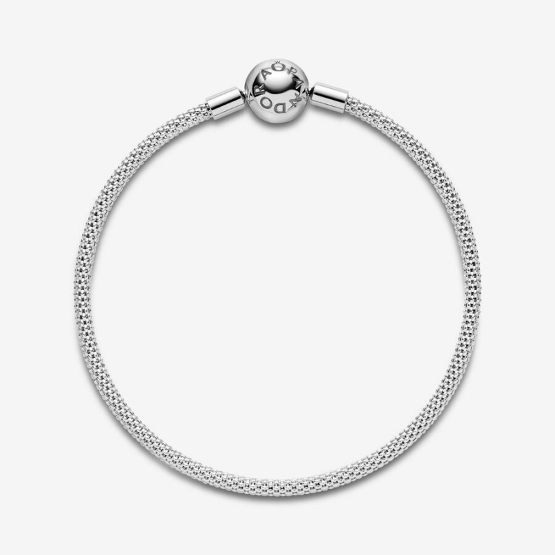 Sterling Silver Pandora Moments Mesh Charm Holders | 276-XOPBHR