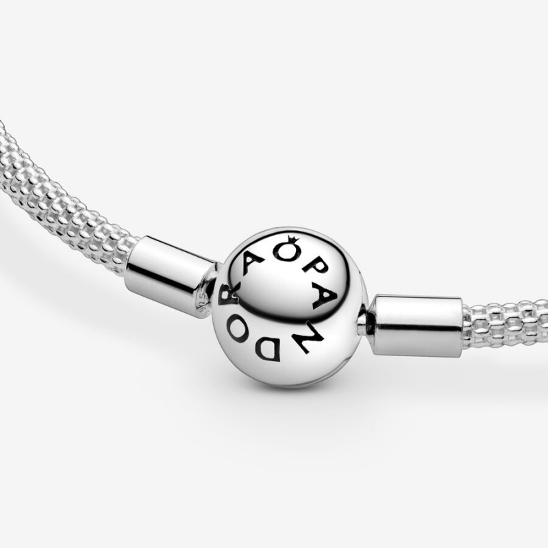 Sterling Silver Pandora Moments Mesh Charm Holders | 276-XOPBHR